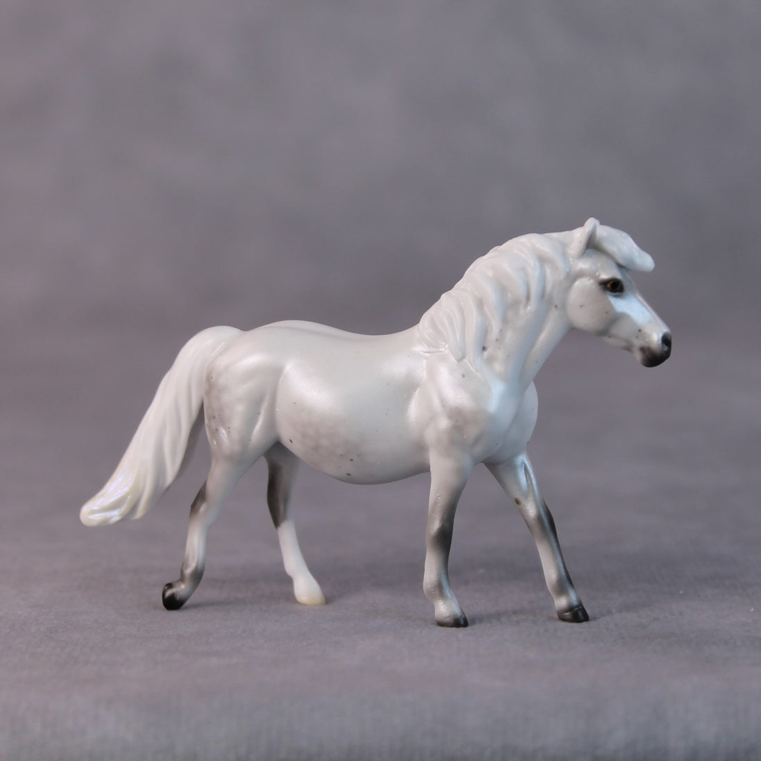 Susan LE-5 Light Dapple Pearl Grey Pony Chip By Ellen Robbins HS24