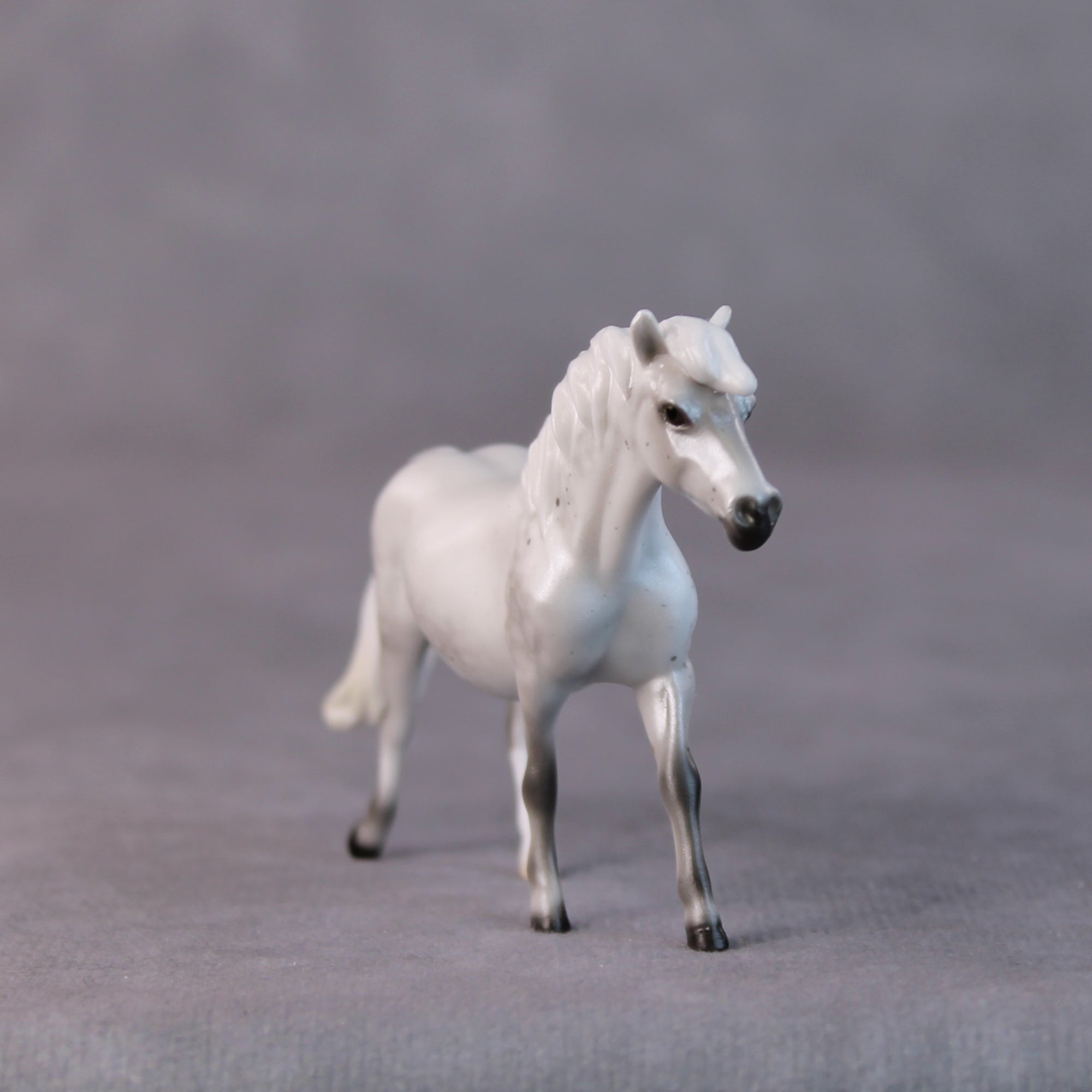Susan LE-5 Light Dapple Pearl Grey Pony Chip By Ellen Robbins HS24
