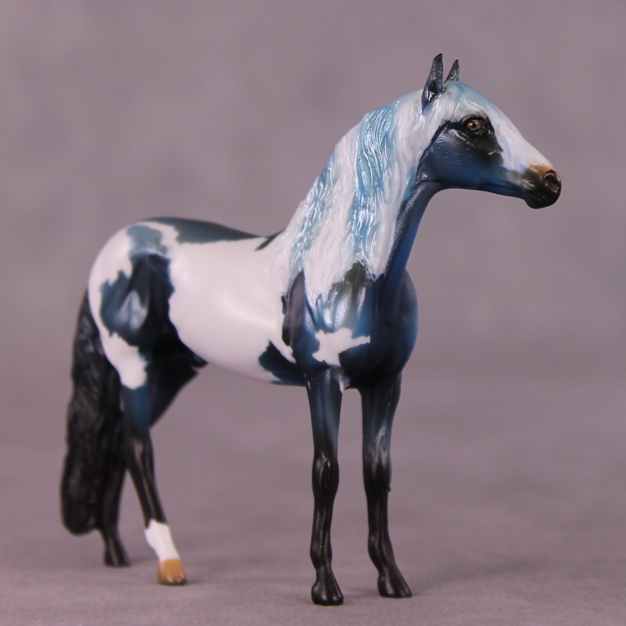 "Rufus" OOAK Andalusian Chip by Kike Duarte EQ25