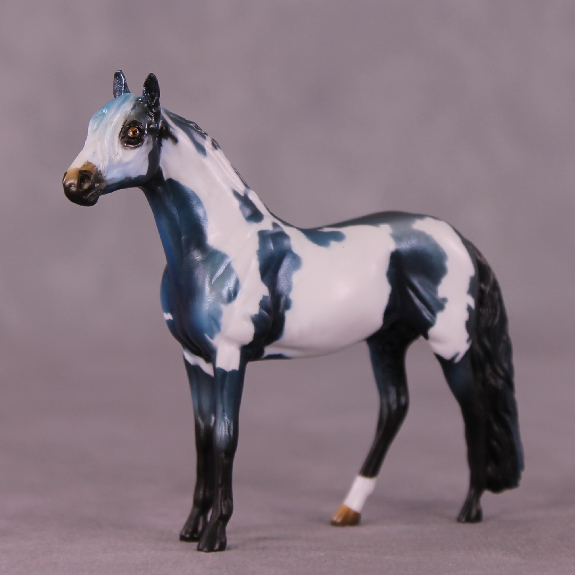 "Rufus" OOAK Andalusian Chip by Kike Duarte EQ25