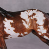Domingo OOAK Extreme Custom Remington/Andalusian Criollo Gelding By Kylee Parks Best Offers 12/24/24