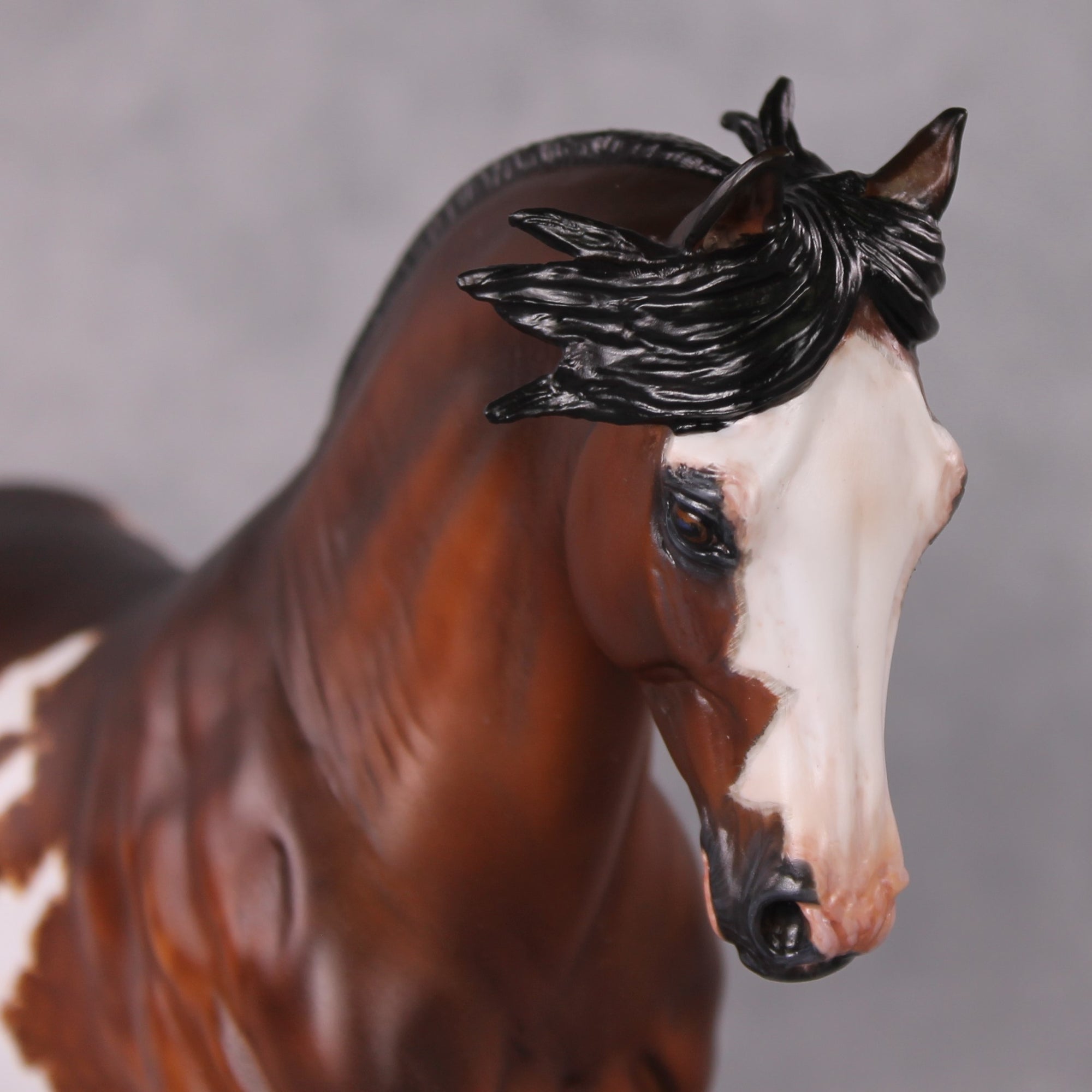 Domingo OOAK Extreme Custom Remington/Andalusian Criollo Gelding By Kylee Parks Best Offers 12/24/24