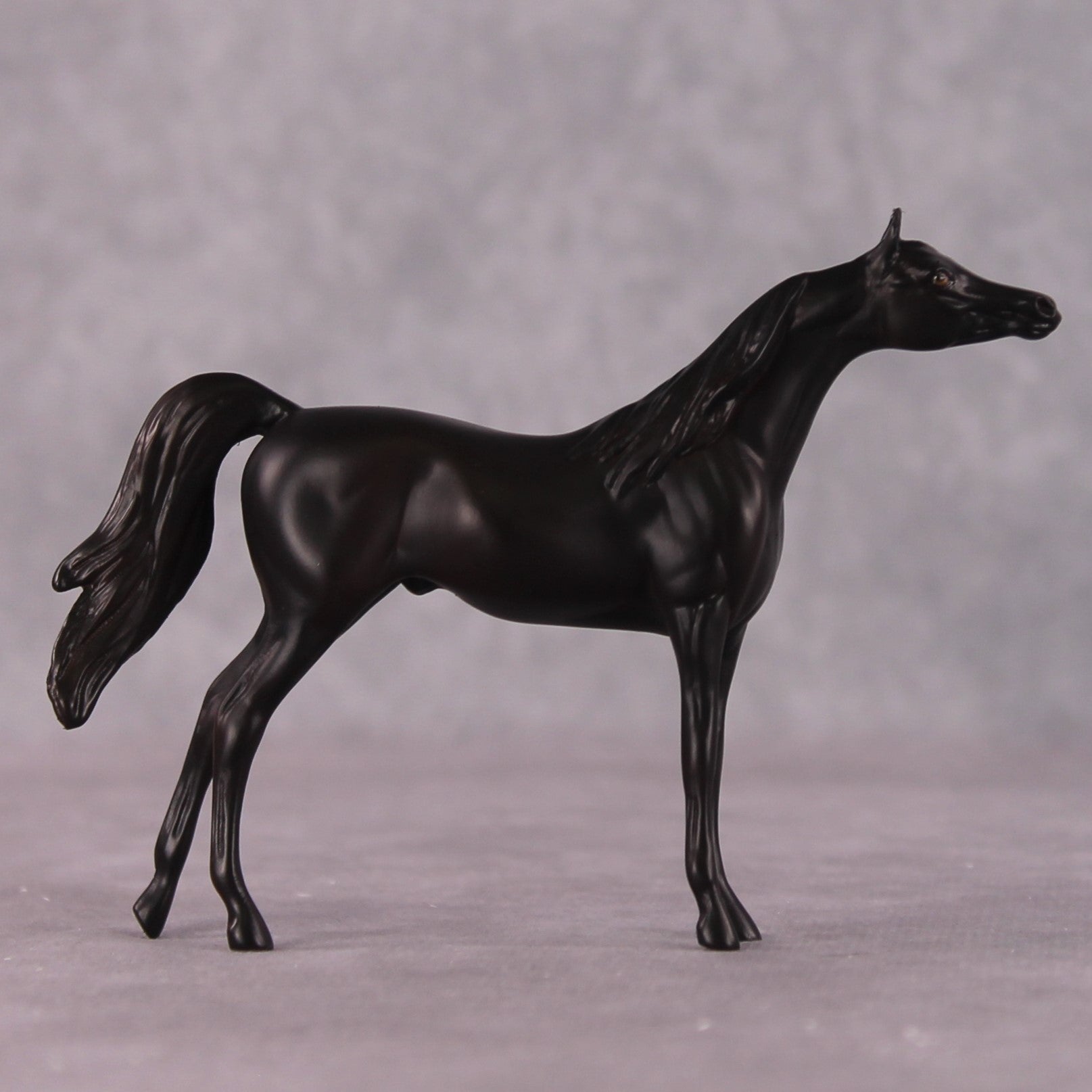 "Seek" OOAK Arabian Chip by Erin Corbett