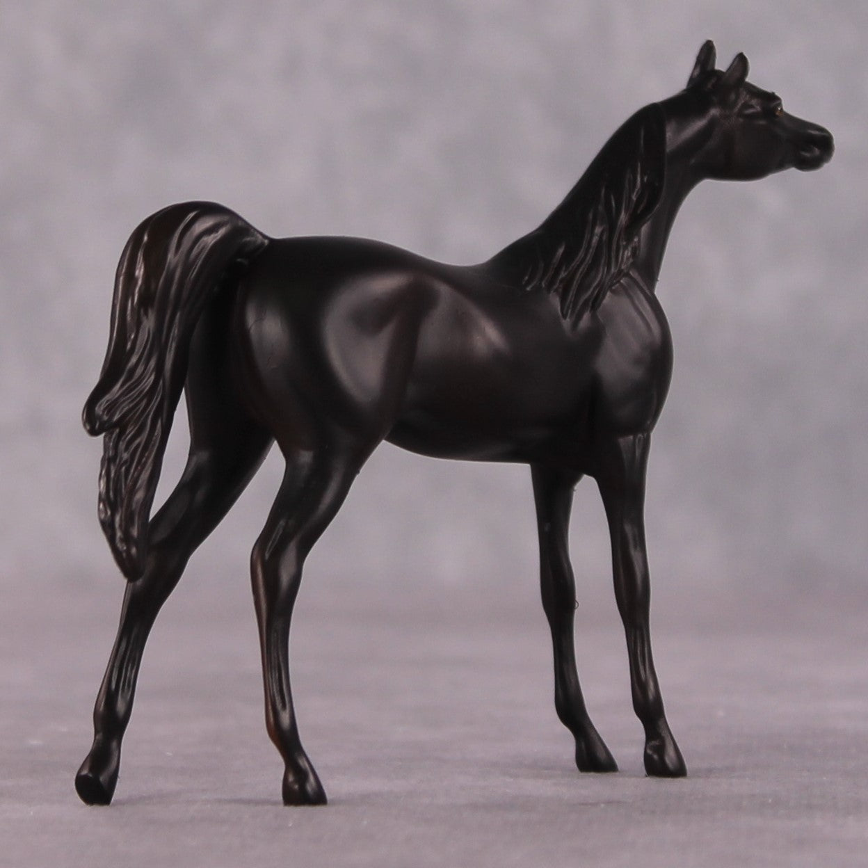 "Seek" OOAK Arabian Chip by Erin Corbett