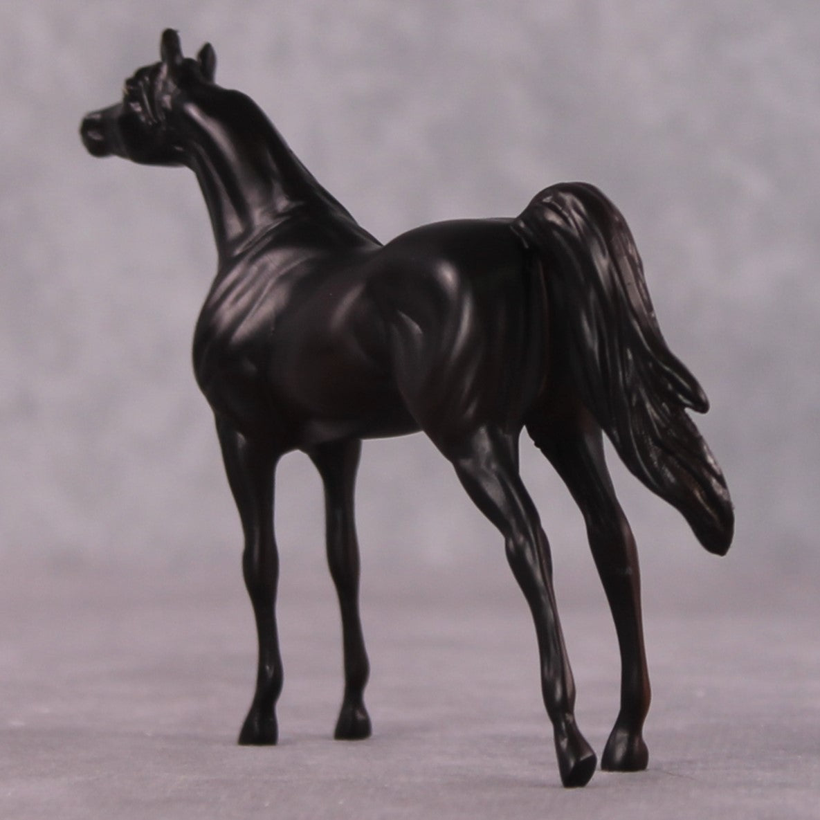 "Seek" OOAK Arabian Chip by Erin Corbett