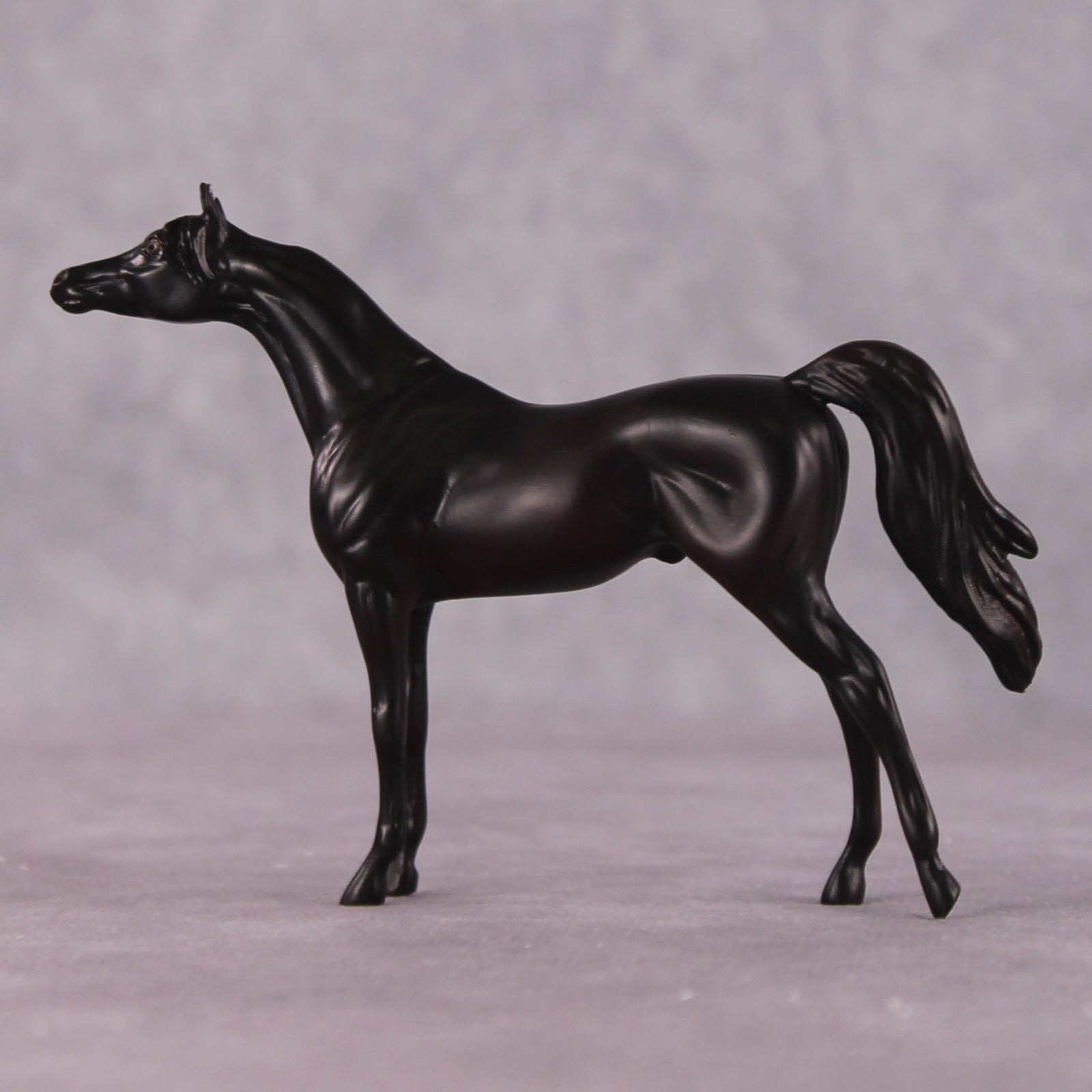 "Seek" OOAK Arabian Chip by Erin Corbett