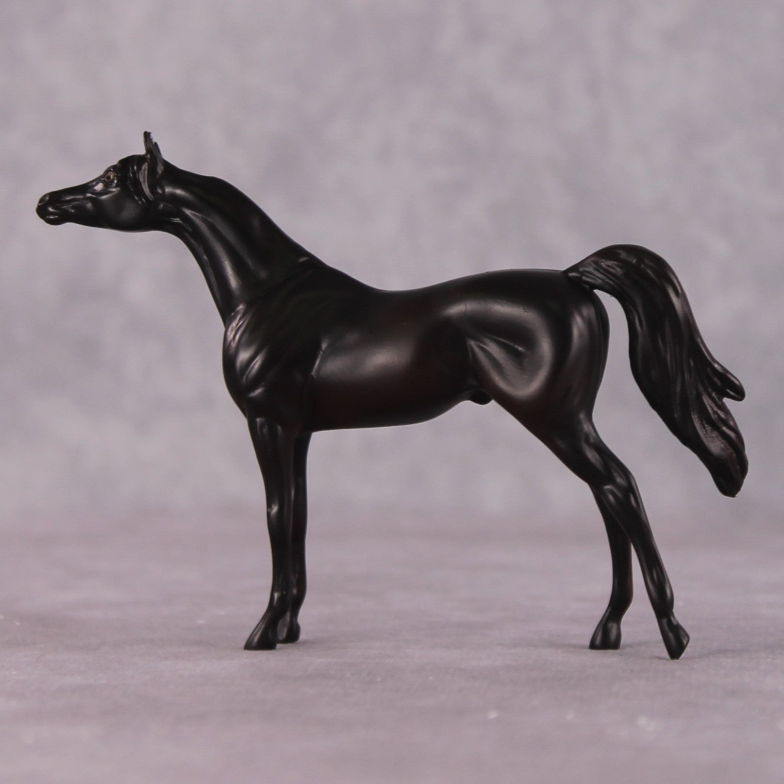 "Seek" OOAK Arabian Chip by Erin Corbett