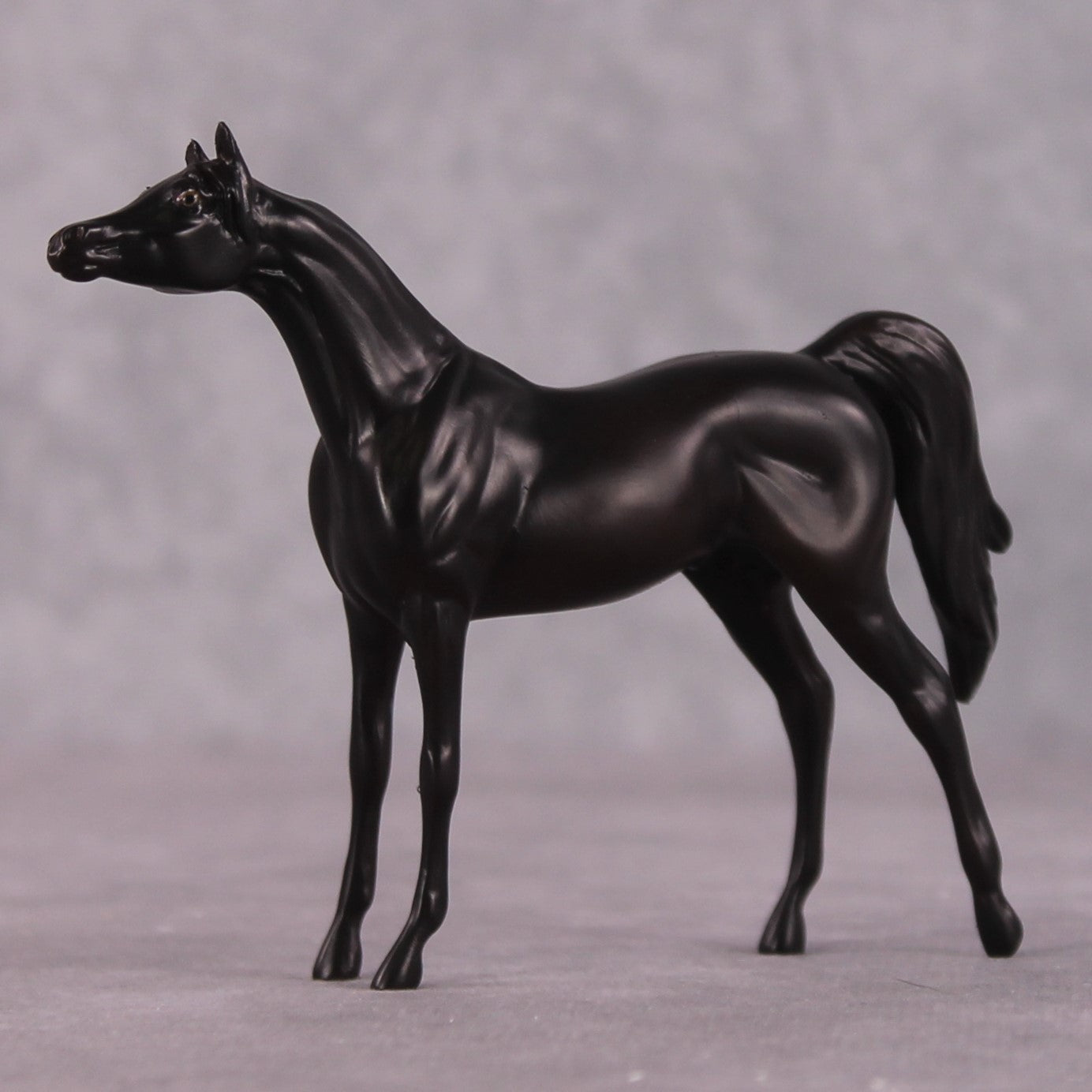 "Seek" OOAK Arabian Chip by Erin Corbett