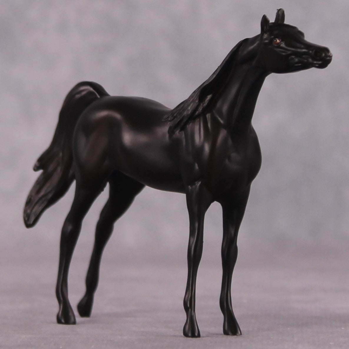 "Seek" OOAK Arabian Chip by Erin Corbett