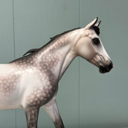 Crazy Rythm OOAK Dapple Grey Custom Palouse By Sheryl Leisure By Best Offers 7/9/24