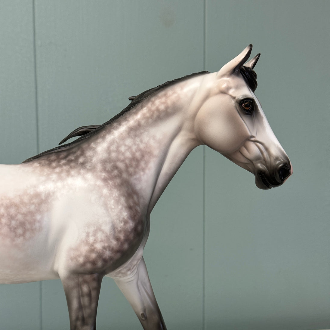 Crazy Rythm OOAK Dapple Grey Custom Palouse By Sheryl Leisure By Best Offers 7/9/24