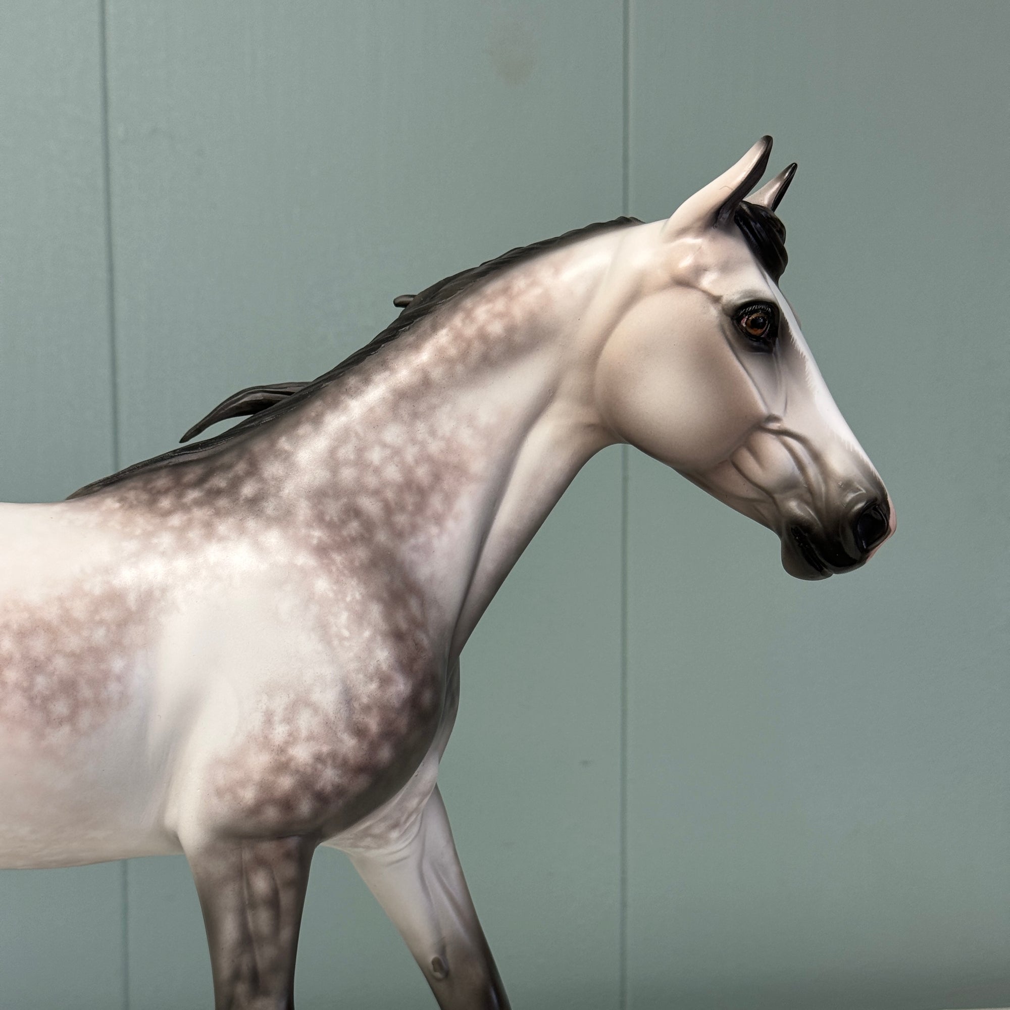 Crazy Rythm OOAK Dapple Grey Custom Palouse By Sheryl Leisure By Best Offers 7/9/24