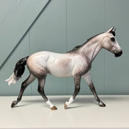 Crazy Rythm OOAK Dapple Grey Custom Palouse By Sheryl Leisure By Best Offers 7/9/24