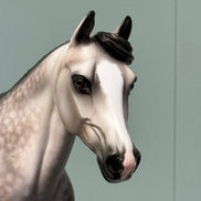 Crazy Rythm OOAK Dapple Grey Custom Palouse By Sheryl Leisure By Best Offers 7/9/24