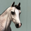 Crazy Rythm OOAK Dapple Grey Custom Palouse By Sheryl Leisure By Best Offers 7/9/24