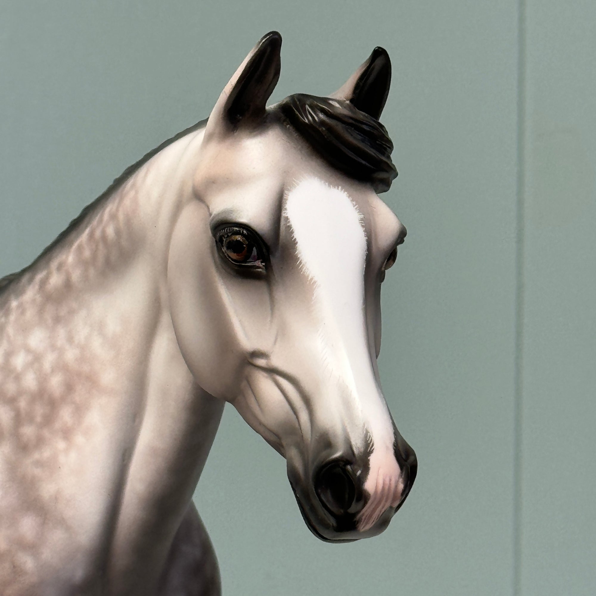 Crazy Rythm OOAK Dapple Grey Custom Palouse By Sheryl Leisure By Best Offers 7/9/24