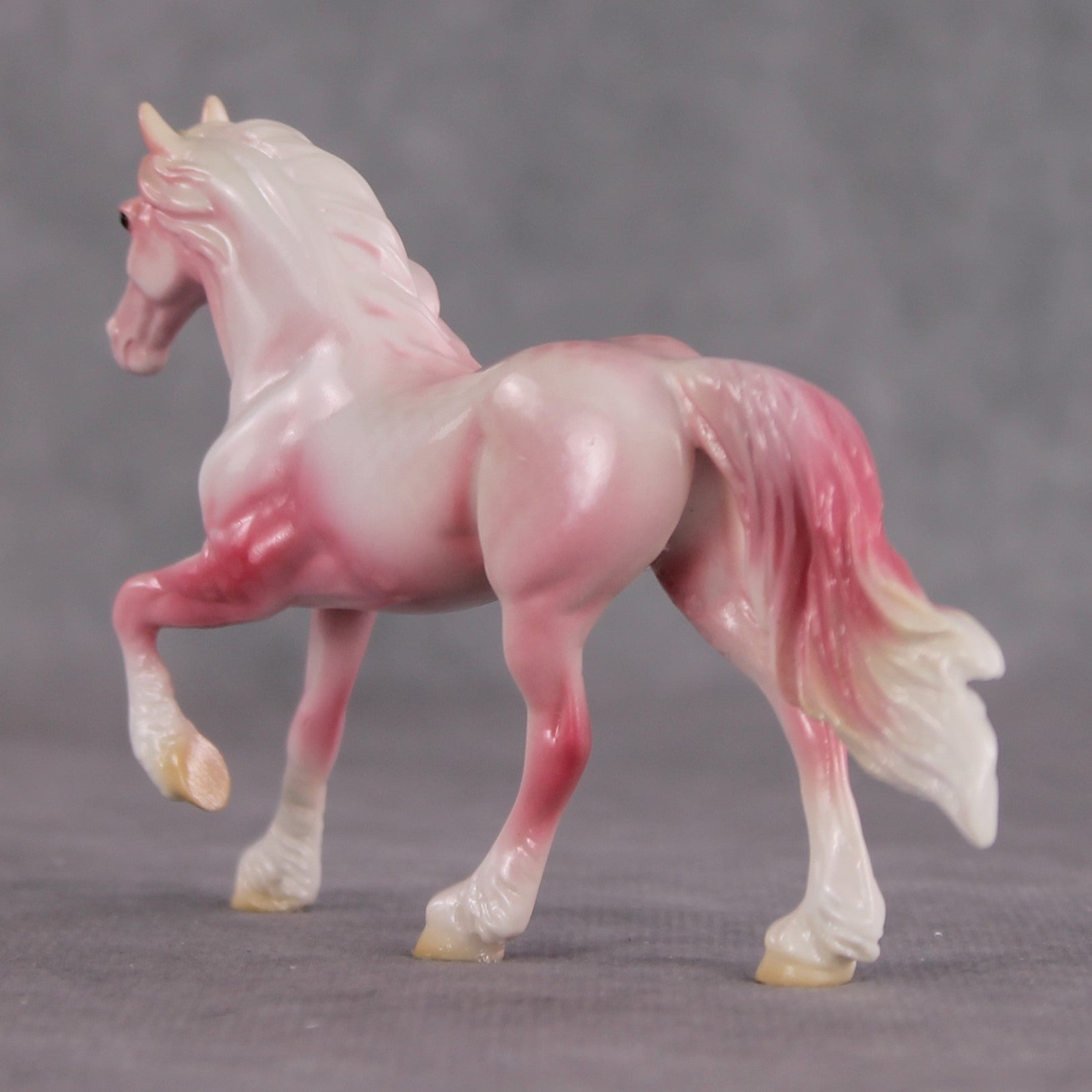 "Plakat" OOAK Glossy Beta Fish Inspired Frisian Chip by Jess Hamill