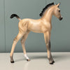 Yarrow OOAK Dun Custom Arab Foal By Ellen Robbins  Best Offers 6/11/24