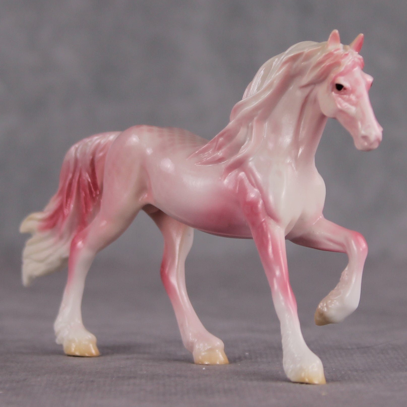 "Plakat" OOAK Glossy Beta Fish Inspired Frisian Chip by Jess Hamill