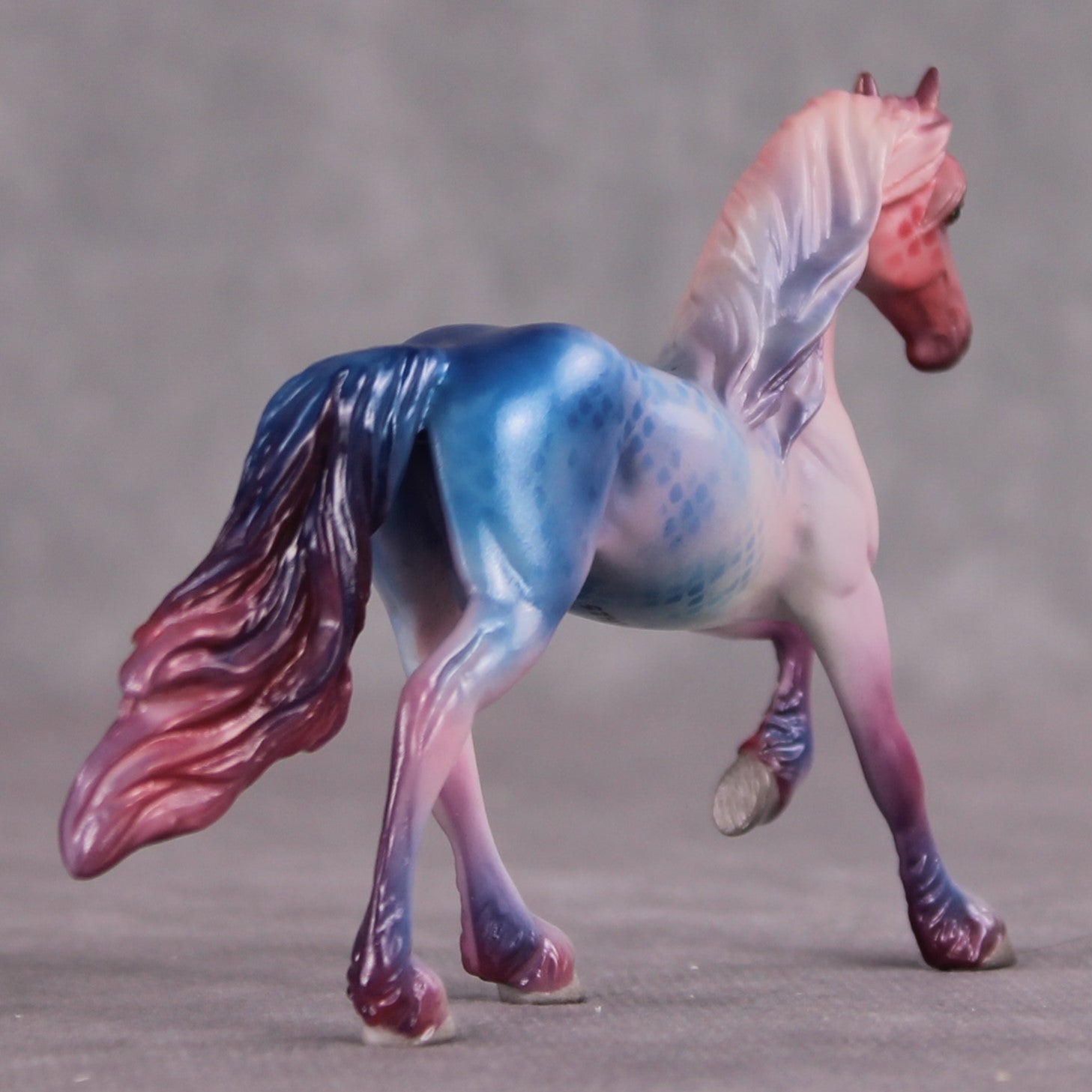 "Feather Tail" OOAK Glossy Beta Fish Inspired Friesian Chip by Jess Hamill