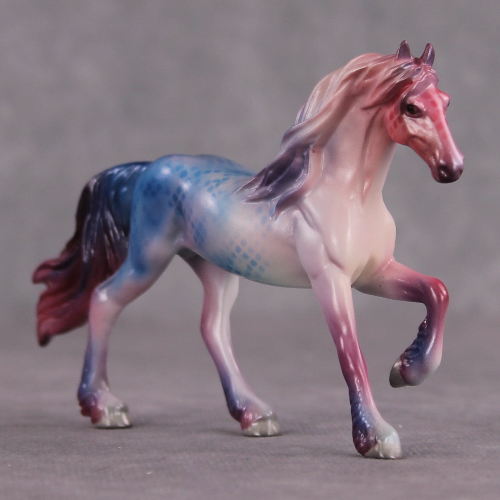 "Feather Tail" OOAK Glossy Beta Fish Inspired Friesian Chip by Jess Hamill