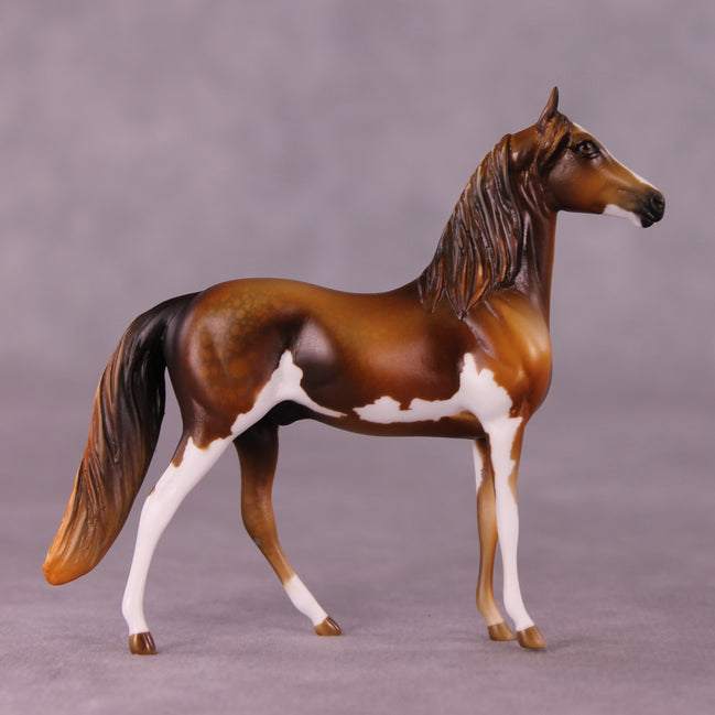 "Obadiah" OOAK Morgan Chip by Kike Duarte EQ25