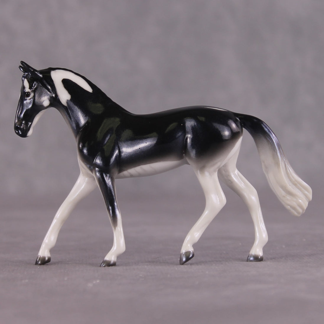 "Ray" OOAK Glossy Giant Atlantic Manta Ray Inspired Warmblood Chip by Jess Hamill