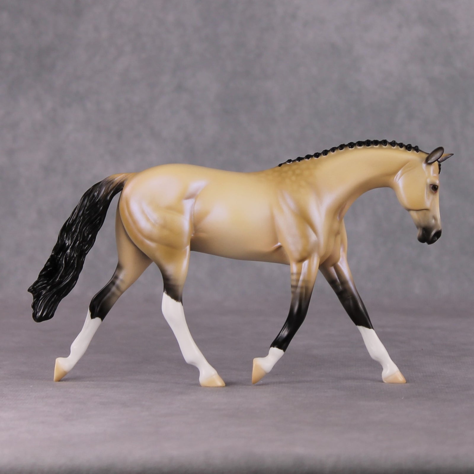 Nightlight OOAK Dapple Dunskin W/ Blue Interference Warmblood Pebble By Ellen Robbins HS24 Online Drawing OOAK