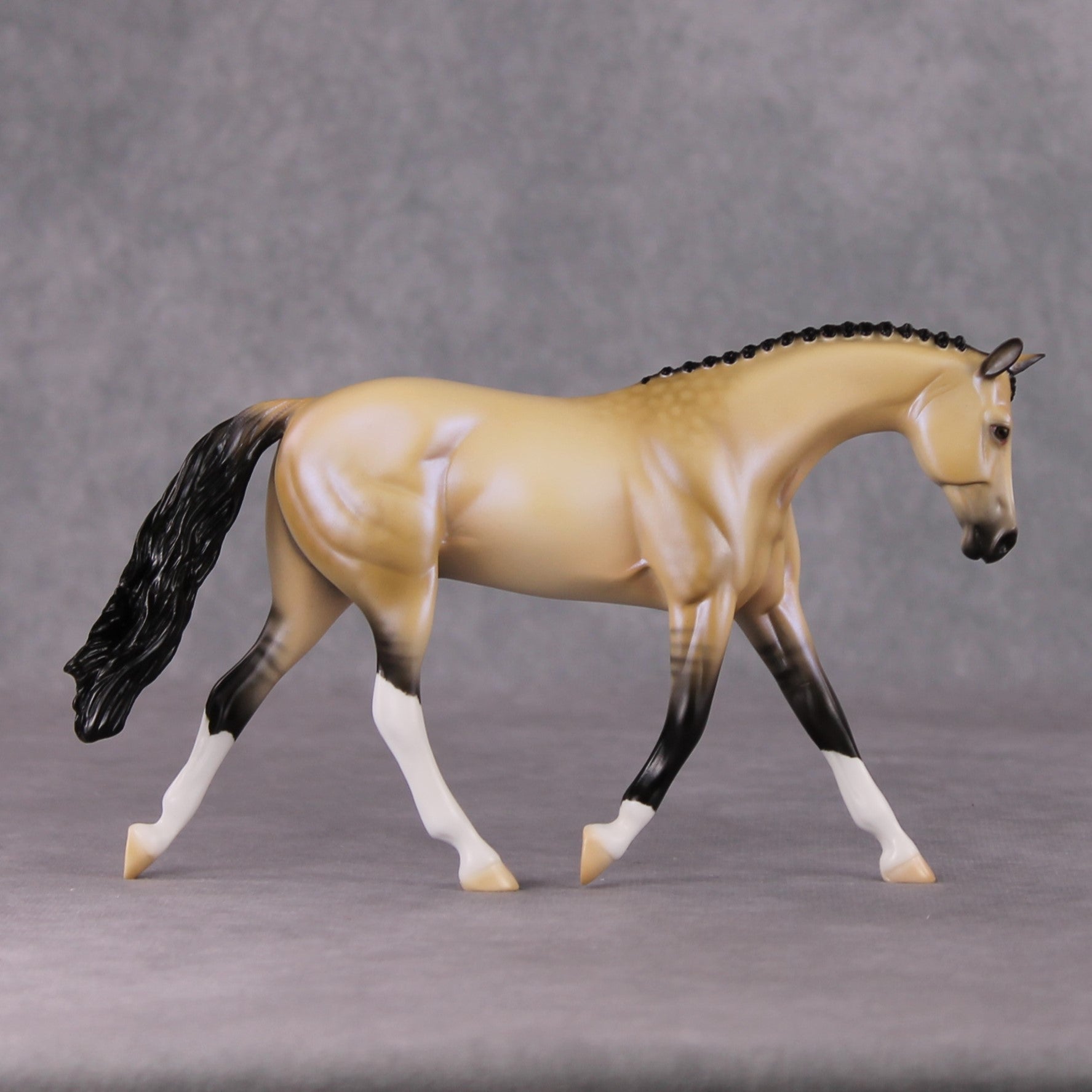 Nightlight OOAK Dapple Dunskin W/ Blue Interference Warmblood Pebble By Ellen Robbins HS24 Online Drawing OOAK