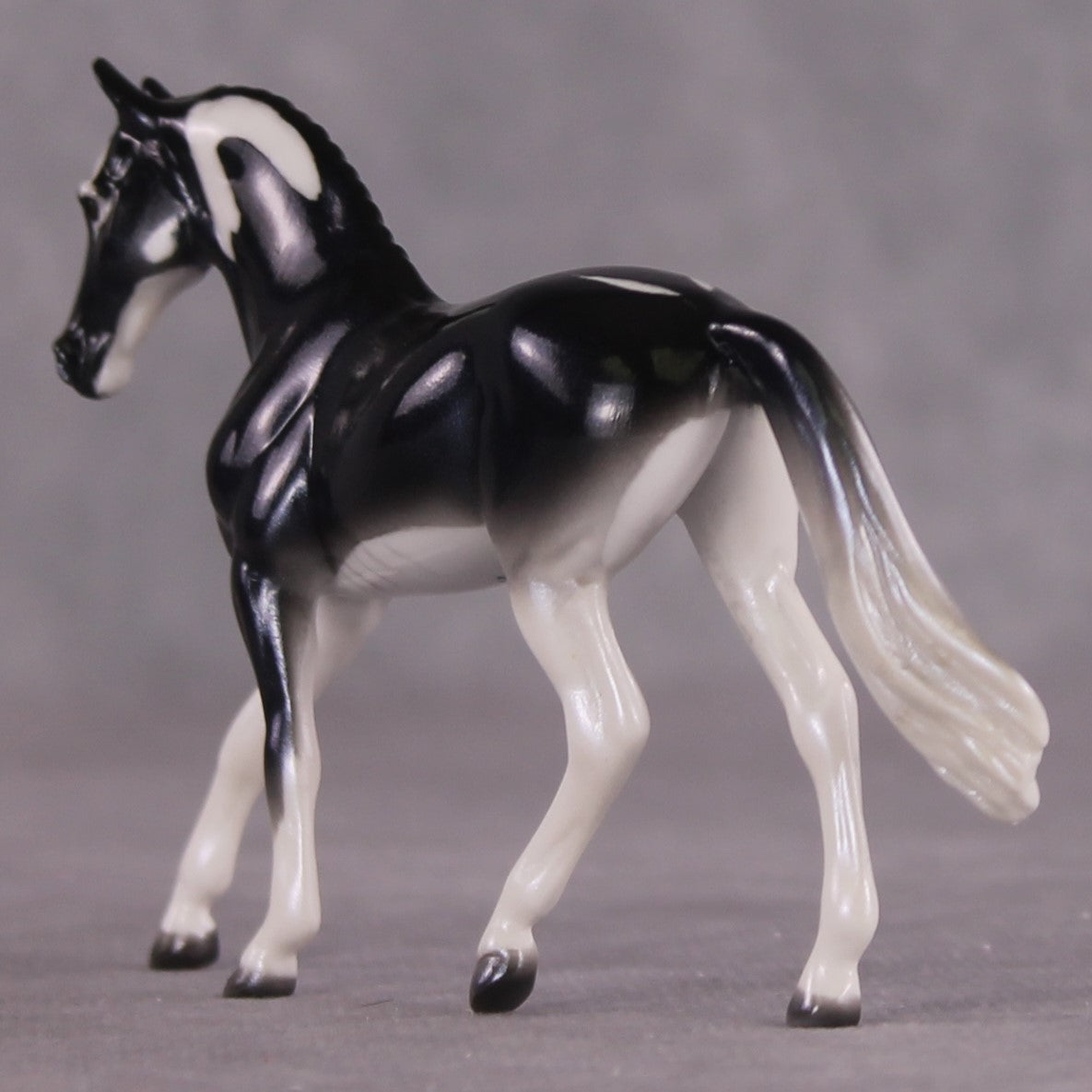 "Ray" OOAK Glossy Giant Atlantic Manta Ray Inspired Warmblood Chip by Jess Hamill