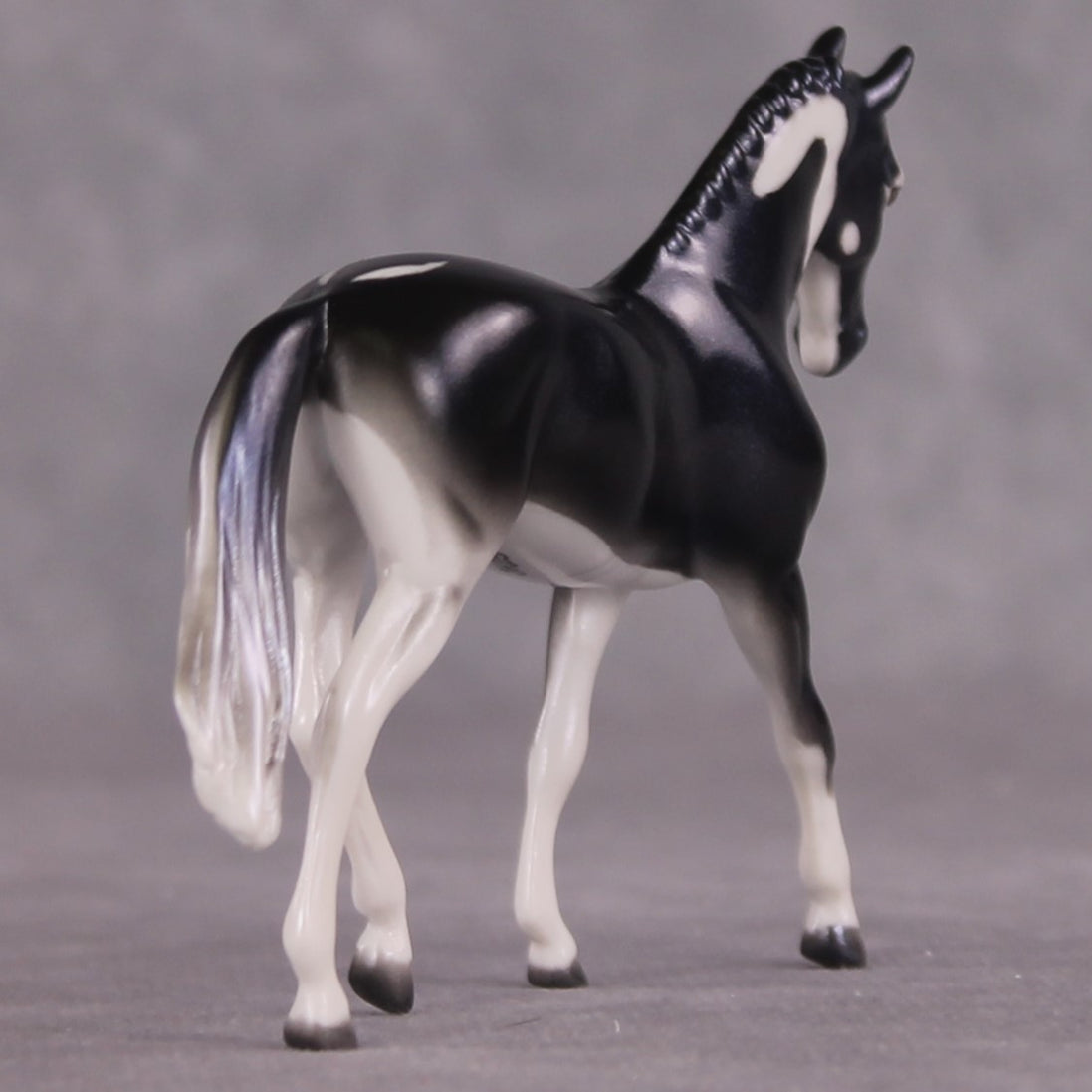 "Ray" OOAK Glossy Giant Atlantic Manta Ray Inspired Warmblood Chip by Jess Hamill