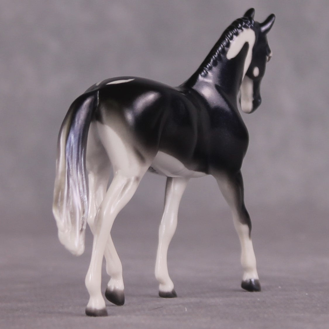 "Ray" OOAK Glossy Giant Atlantic Manta Ray Inspired Warmblood Chip by Jess Hamill