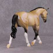 Nightlight OOAK Dapple Dunskin W/ Blue Interference Warmblood Pebble By Ellen Robbins HS24 Online Drawing OOAK