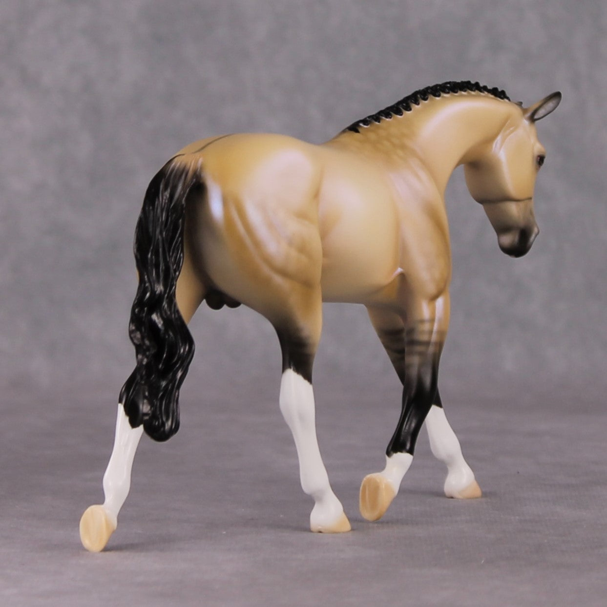 Nightlight OOAK Dapple Dunskin W/ Blue Interference Warmblood Pebble By Ellen Robbins HS24 Online Drawing OOAK