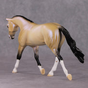Nightlight OOAK Dapple Dunskin W/ Blue Interference Warmblood Pebble By Ellen Robbins HS24 Online Drawing OOAK