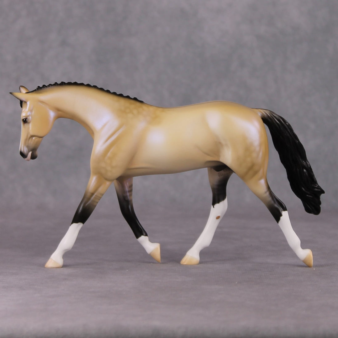 Nightlight OOAK Dapple Dunskin W/ Blue Interference Warmblood Pebble By Ellen Robbins HS24 Online Drawing OOAK