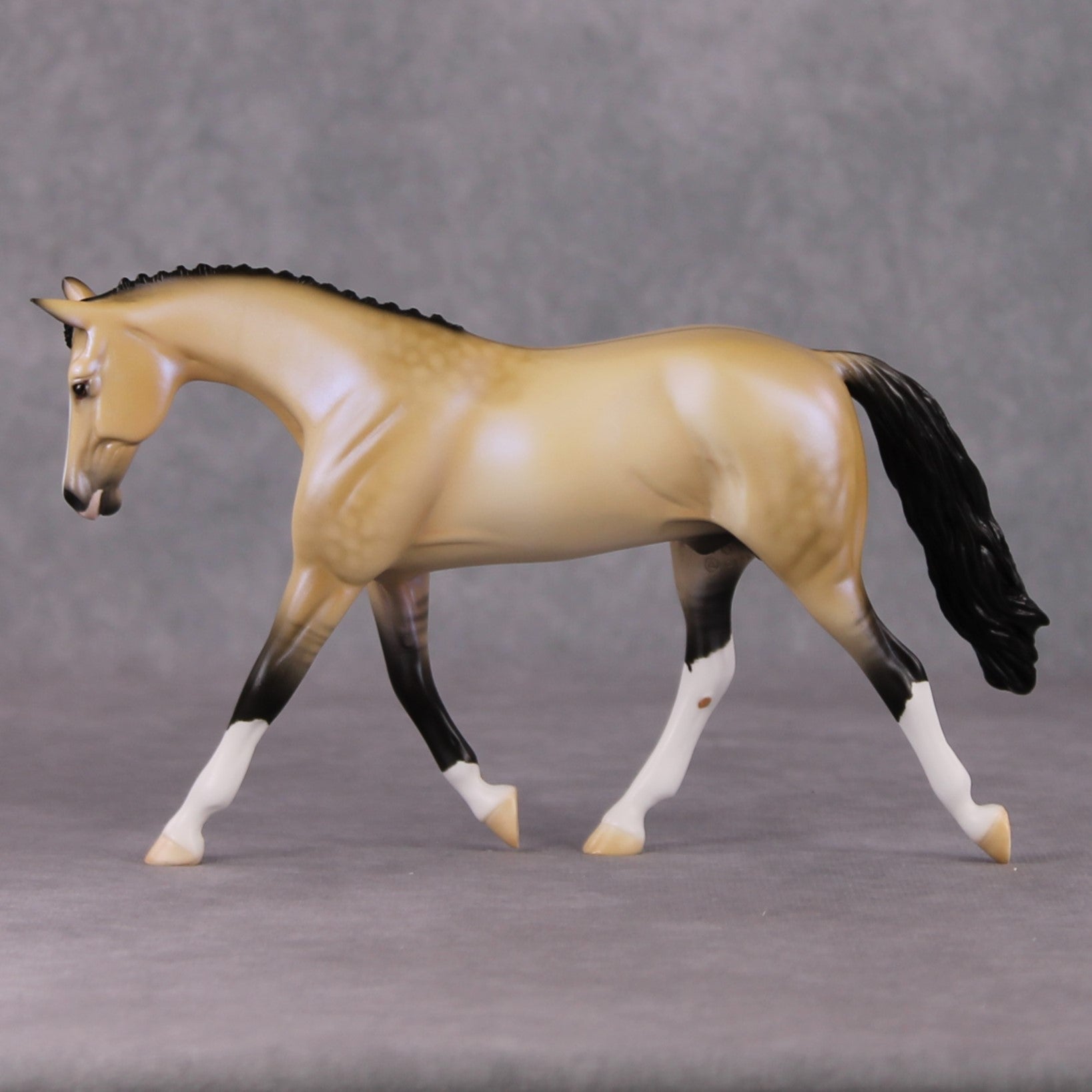 Nightlight OOAK Dapple Dunskin W/ Blue Interference Warmblood Pebble By Ellen Robbins HS24 Online Drawing OOAK