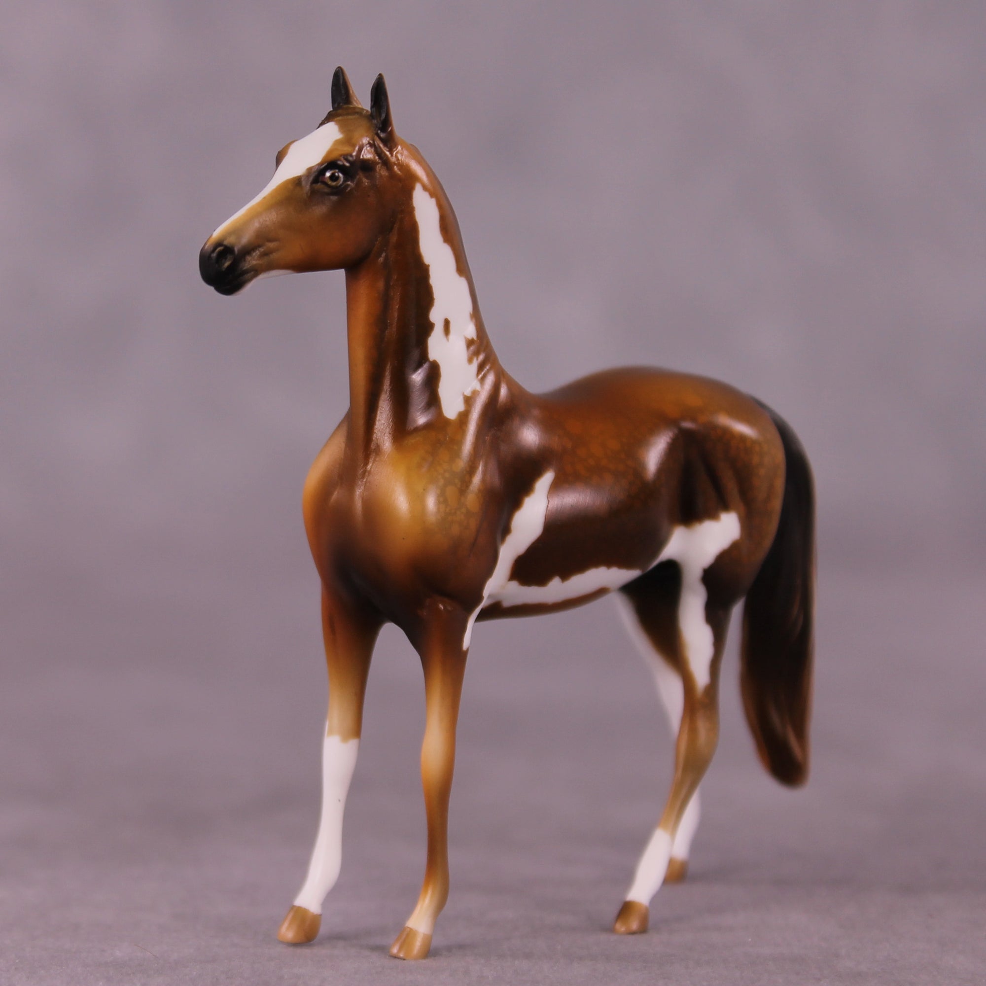 "Obadiah" OOAK Morgan Chip by Kike Duarte EQ25