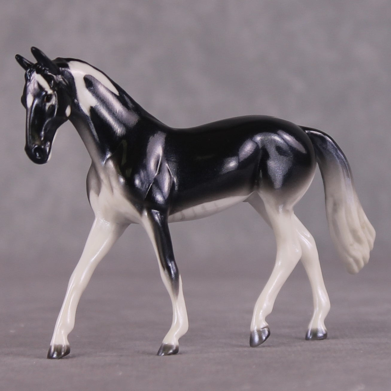 "Ray" OOAK Glossy Giant Atlantic Manta Ray Inspired Warmblood Chip by Jess Hamill