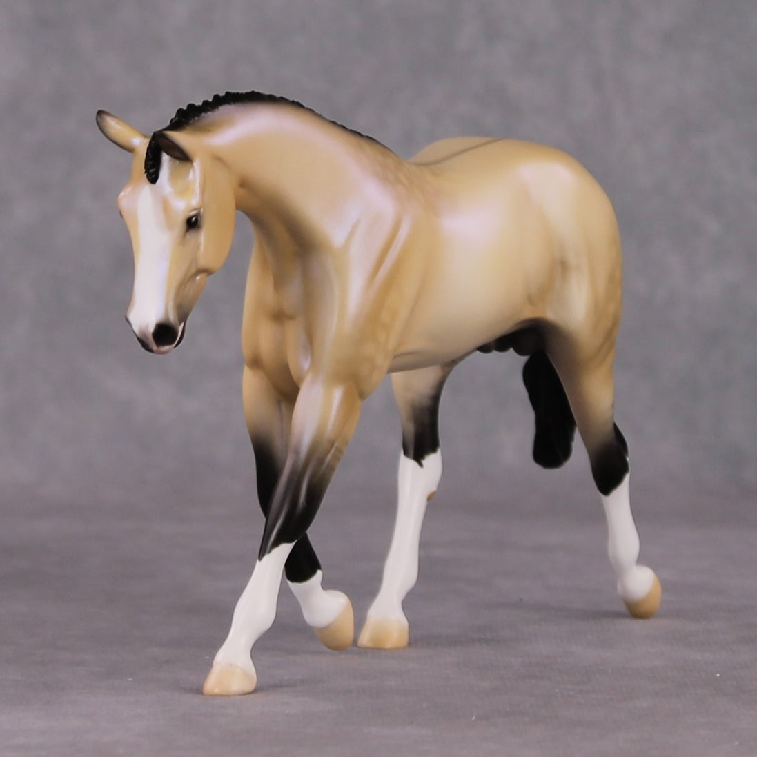 Nightlight OOAK Dapple Dunskin W/ Blue Interference Warmblood Pebble By Ellen Robbins HS24 Online Drawing OOAK