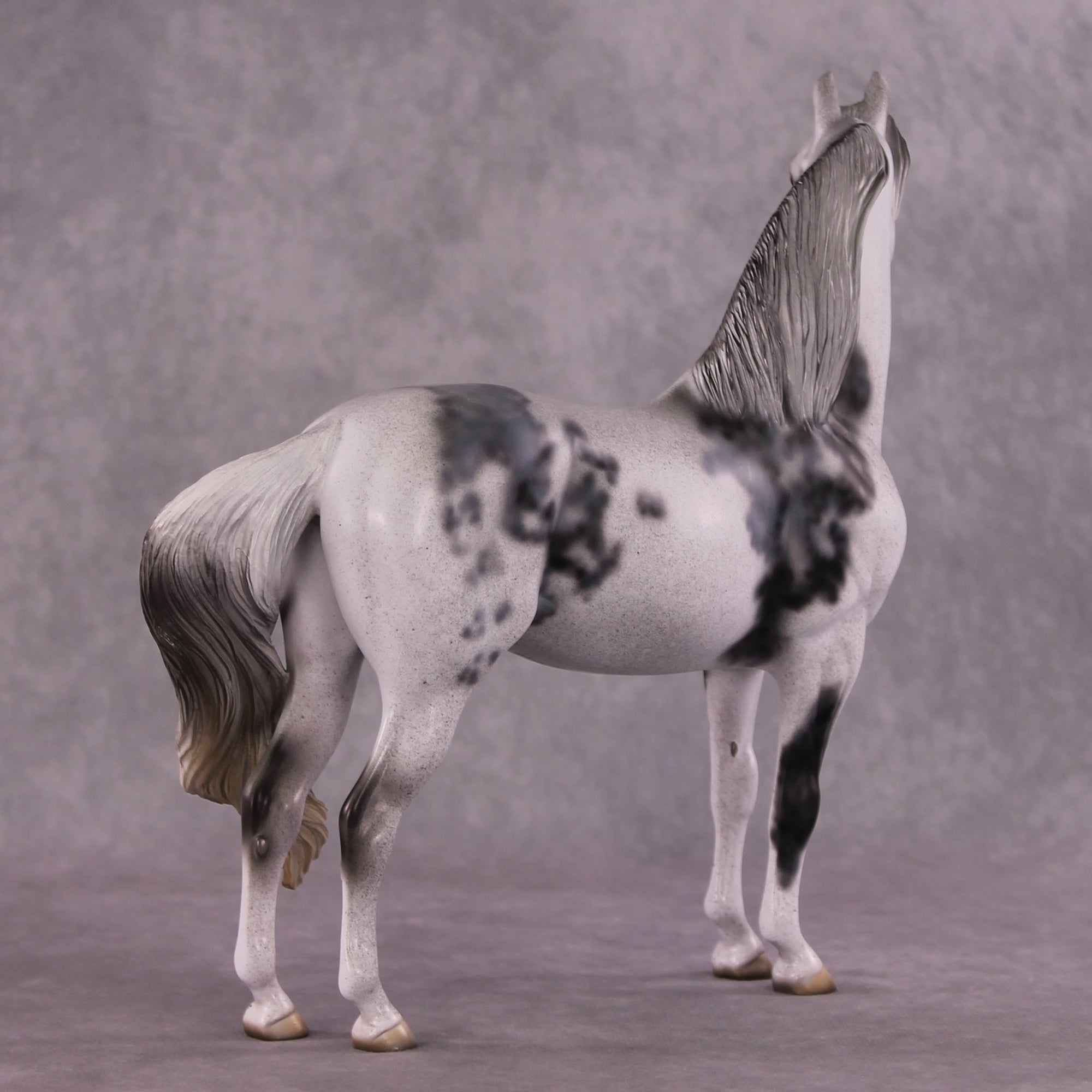 "Herculaneum" OOAK FCM Morgan  by Dawn Quick SHCF25