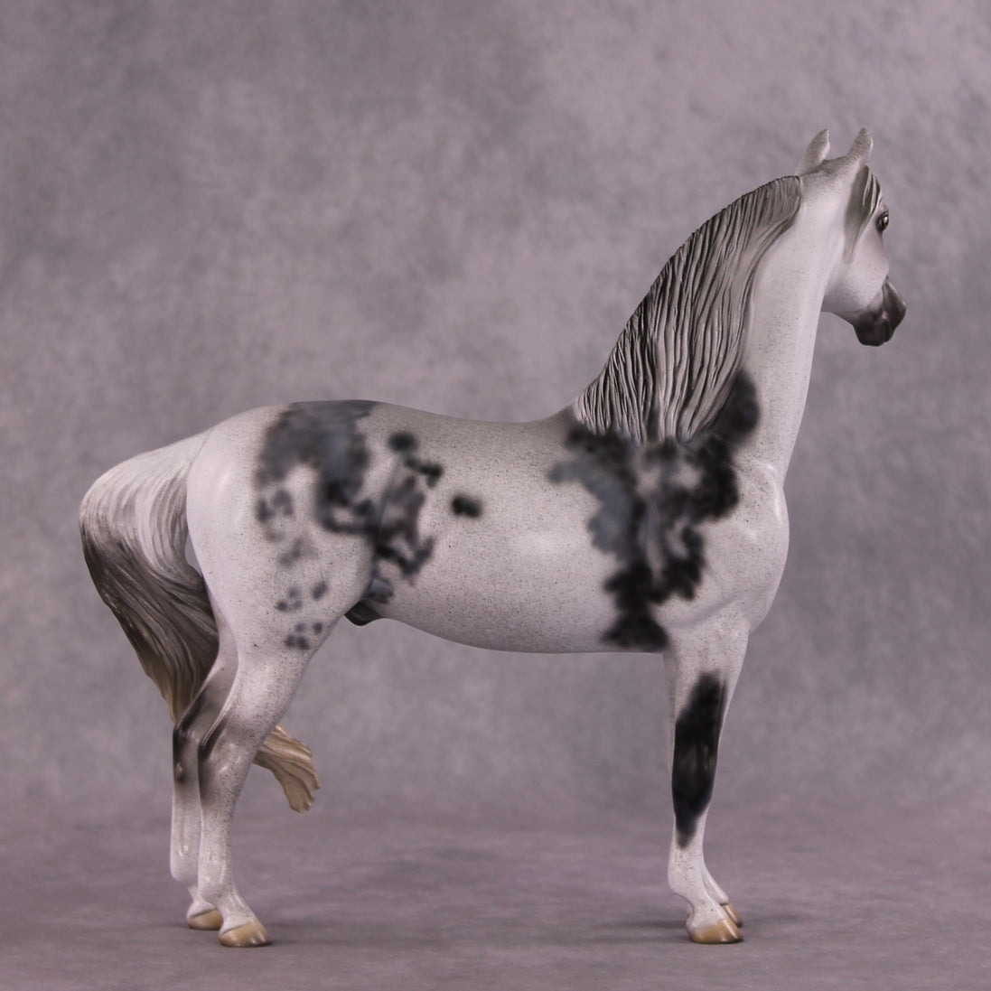 "Herculaneum" OOAK FCM Morgan  by Dawn Quick SHCF25