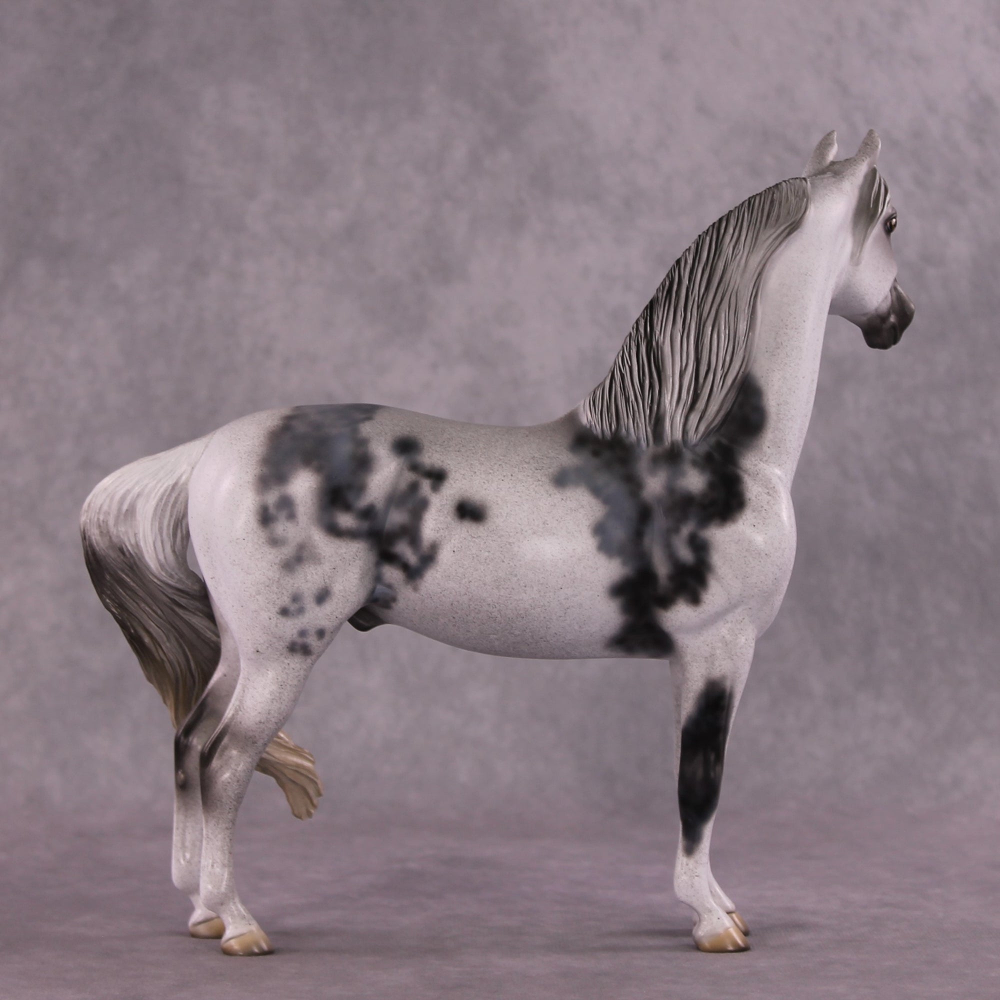 "Herculaneum" OOAK FCM Morgan  by Dawn Quick SHCF25