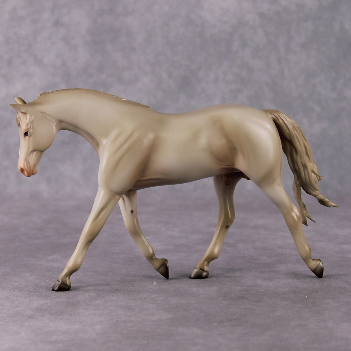 Doc OOAK Cremello Pebble Warmblood By Angela Marleau HS24