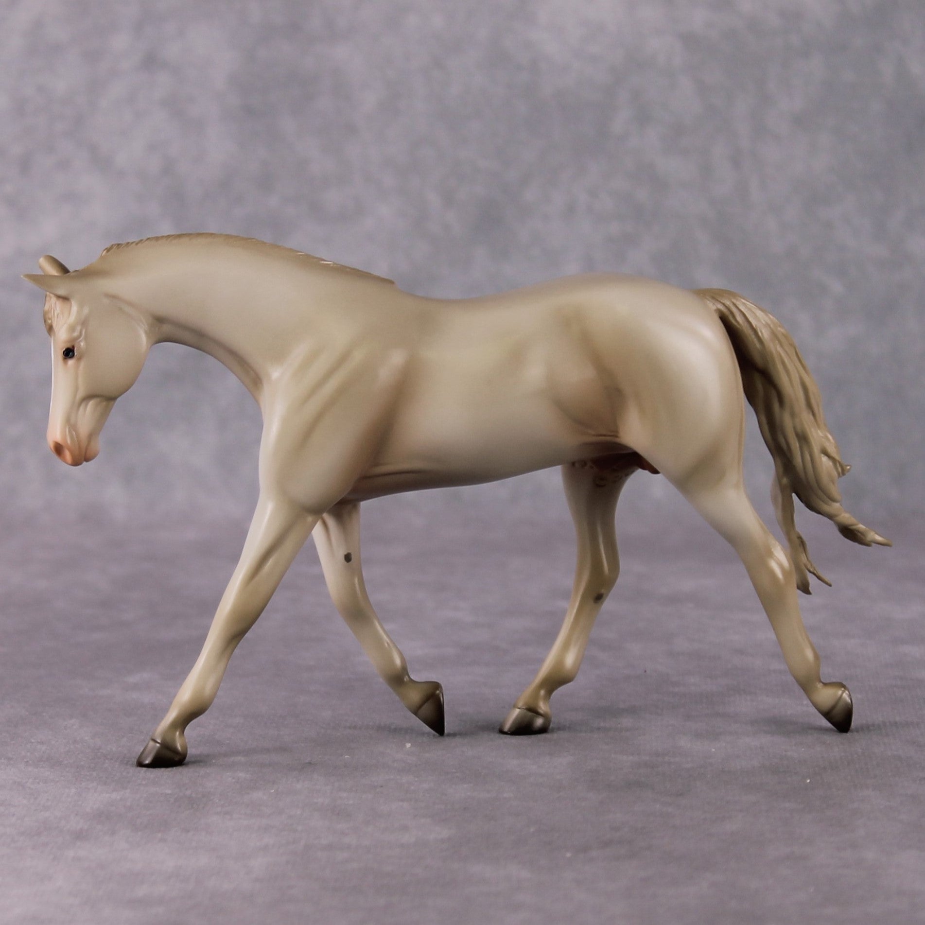 Doc OOAK Cremello Pebble Warmblood By Angela Marleau HS24