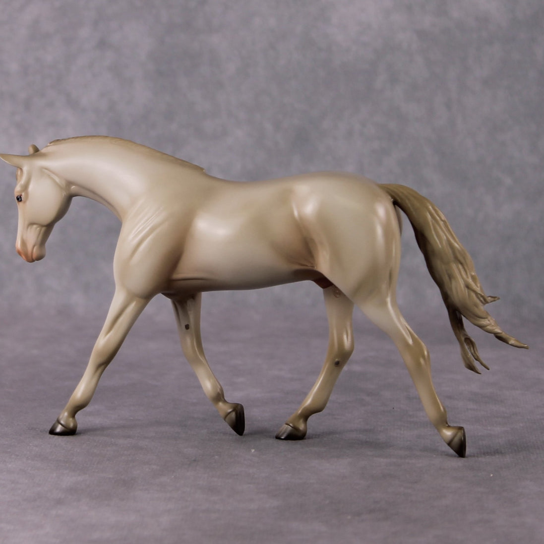 Doc OOAK Cremello Pebble Warmblood By Angela Marleau HS24