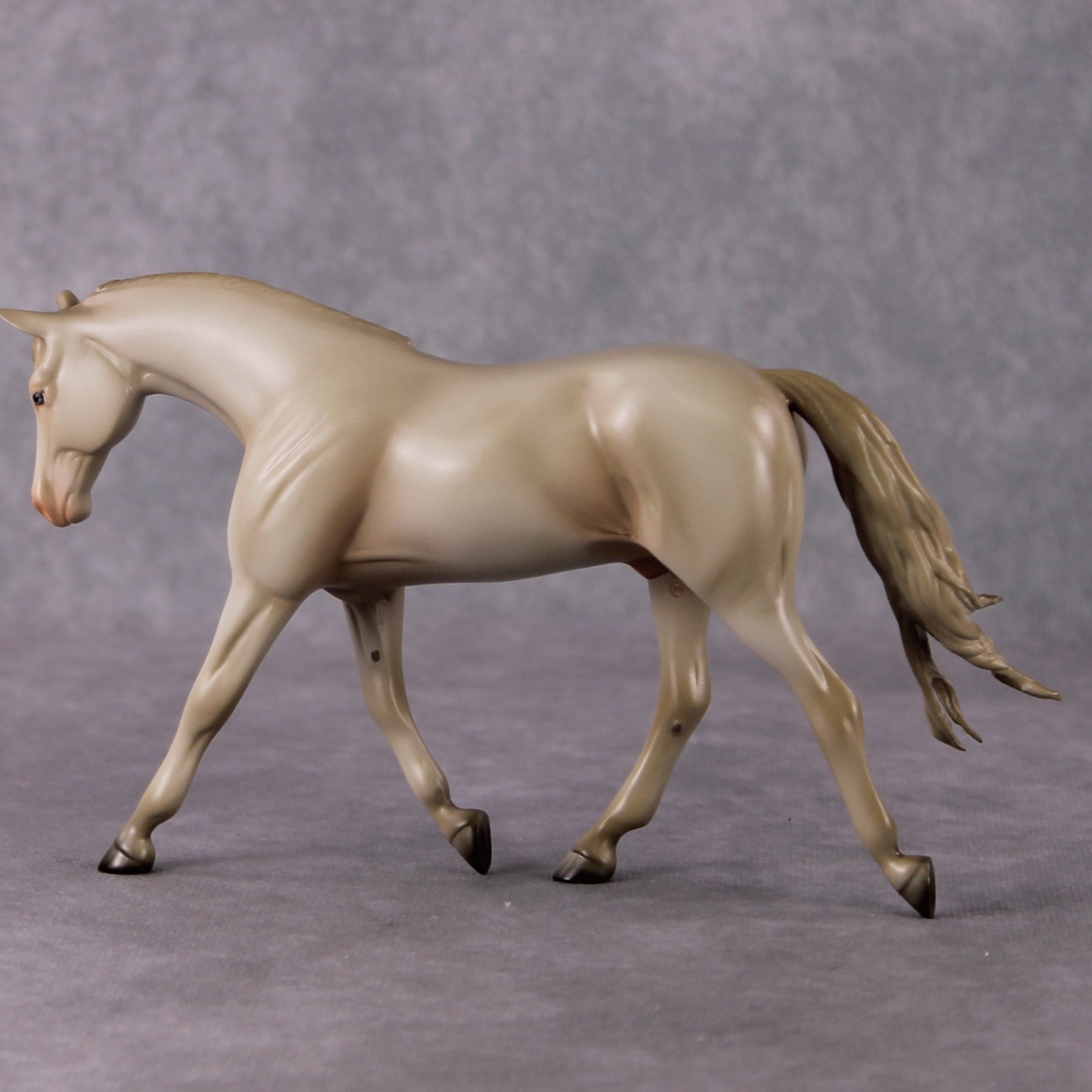 Doc OOAK Cremello Pebble Warmblood By Angela Marleau HS24