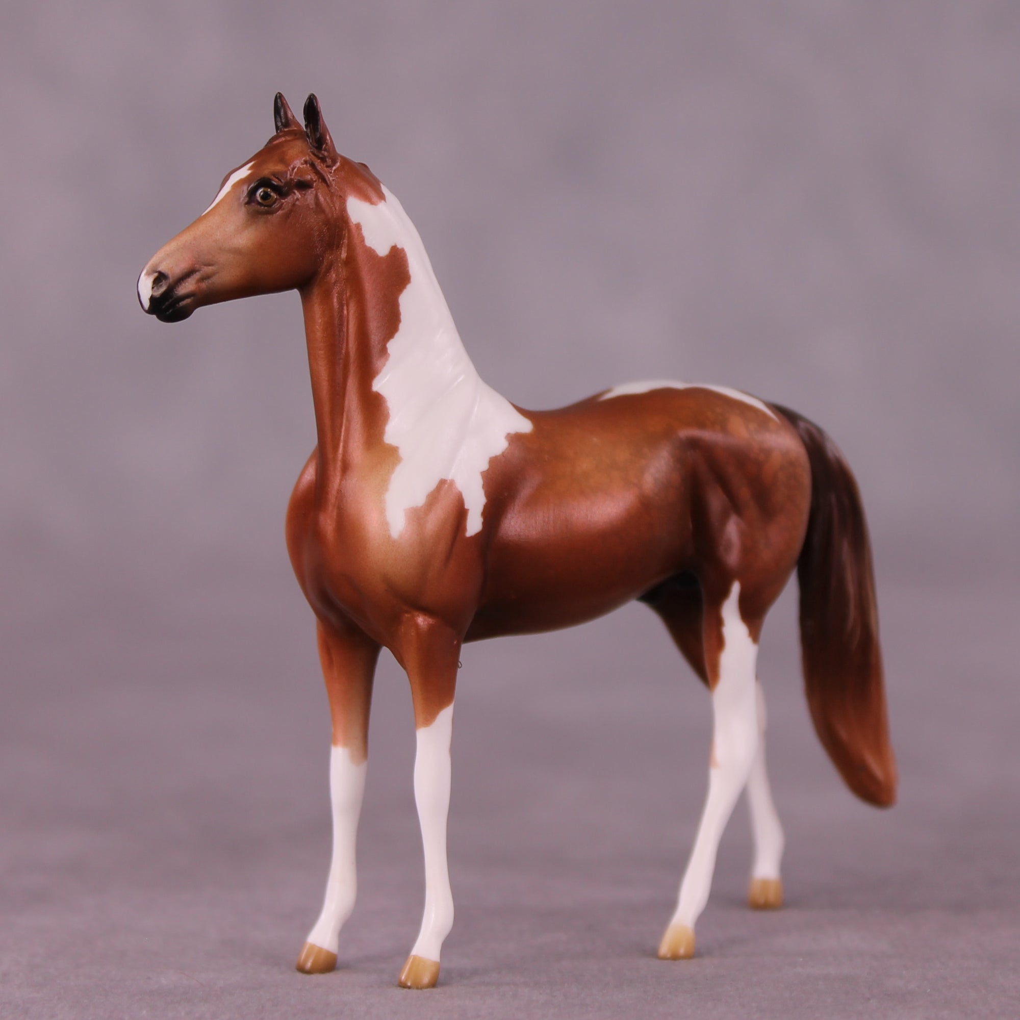 Thaddeus OOAK Morgan Chip by Kike Duarte EQ25