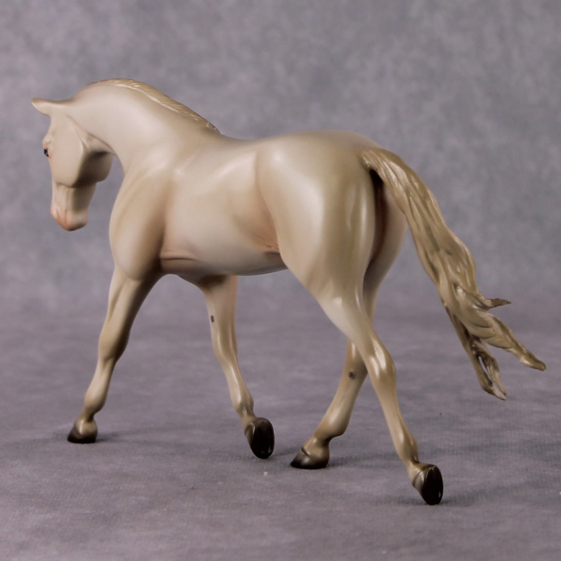 Doc OOAK Cremello Pebble Warmblood By Angela Marleau HS24