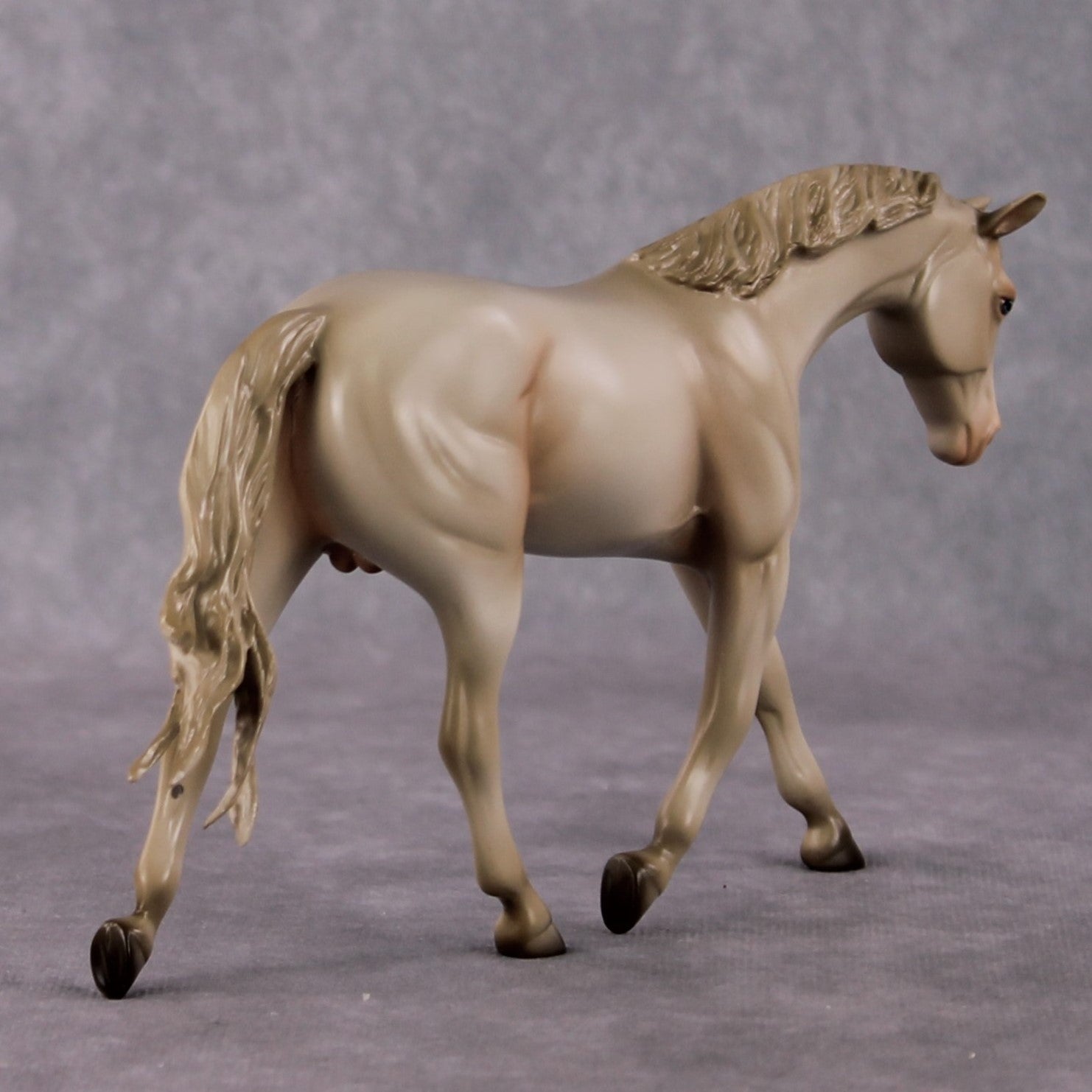 Doc OOAK Cremello Pebble Warmblood By Angela Marleau HS24